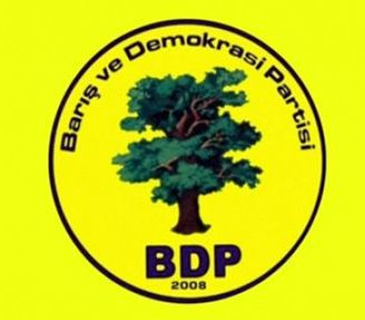 BDP\'nin 1 Yıllık Meclis Faaliyetleri