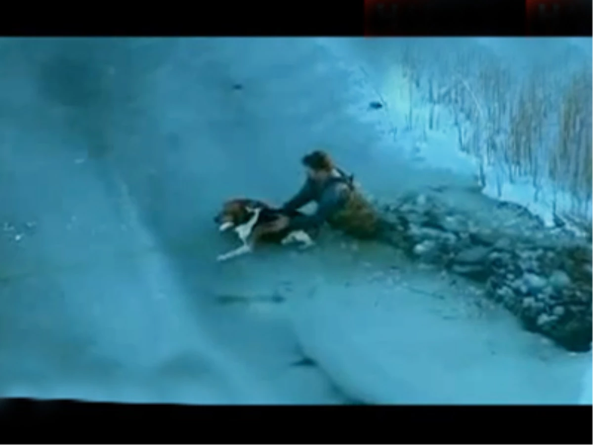 Buza Sıkışan Köpek için Seferber Oldular