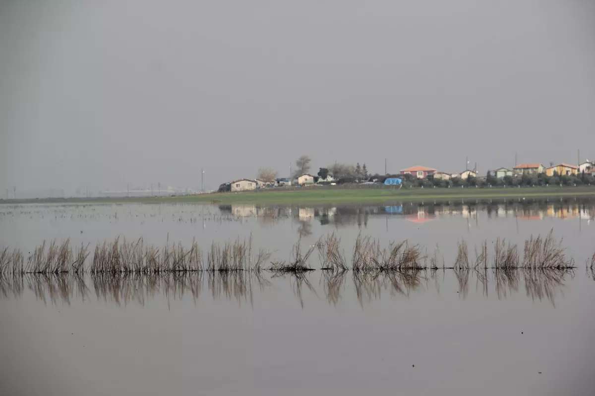 Evlerine Sandalla Gidip Geliyorlar