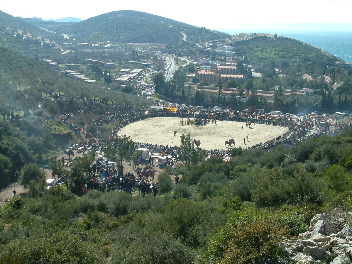 Kuşadası 14. Geleneksel Deve Güreşleri Festivali 30 Aralık\'ta