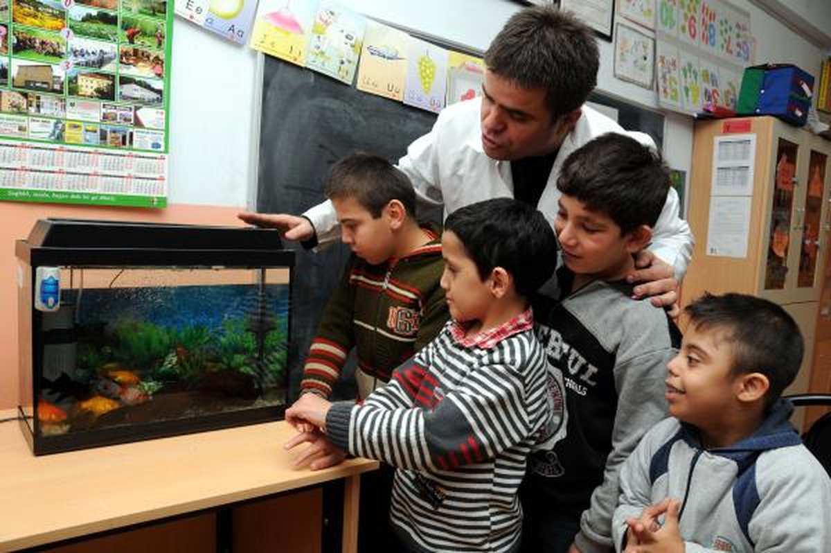 Zihinsel Engelli Çocukların Devamsızlığına Akvaryumlu Çözüm