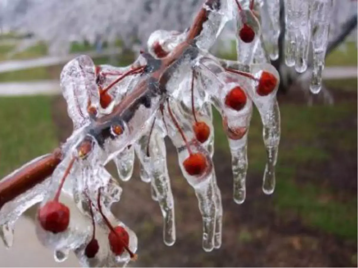 Meteoroloji'den Soğuk Uyarı