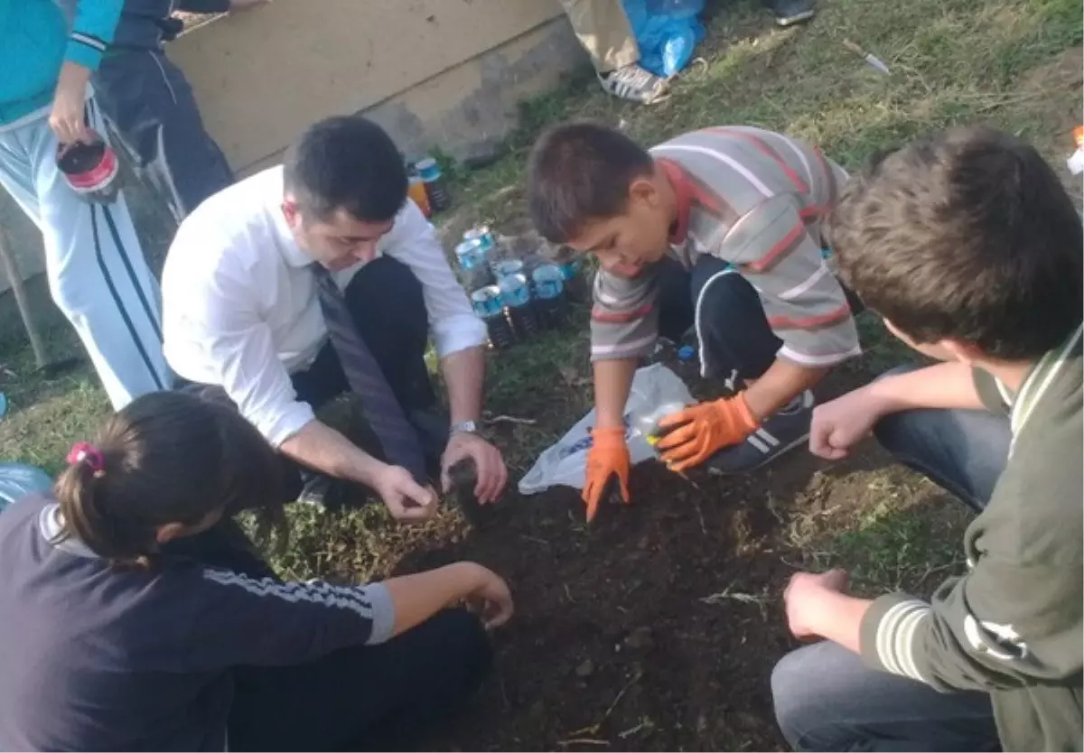 Okul Bahçesindeki Tohumlar Yeşermeye Başladı