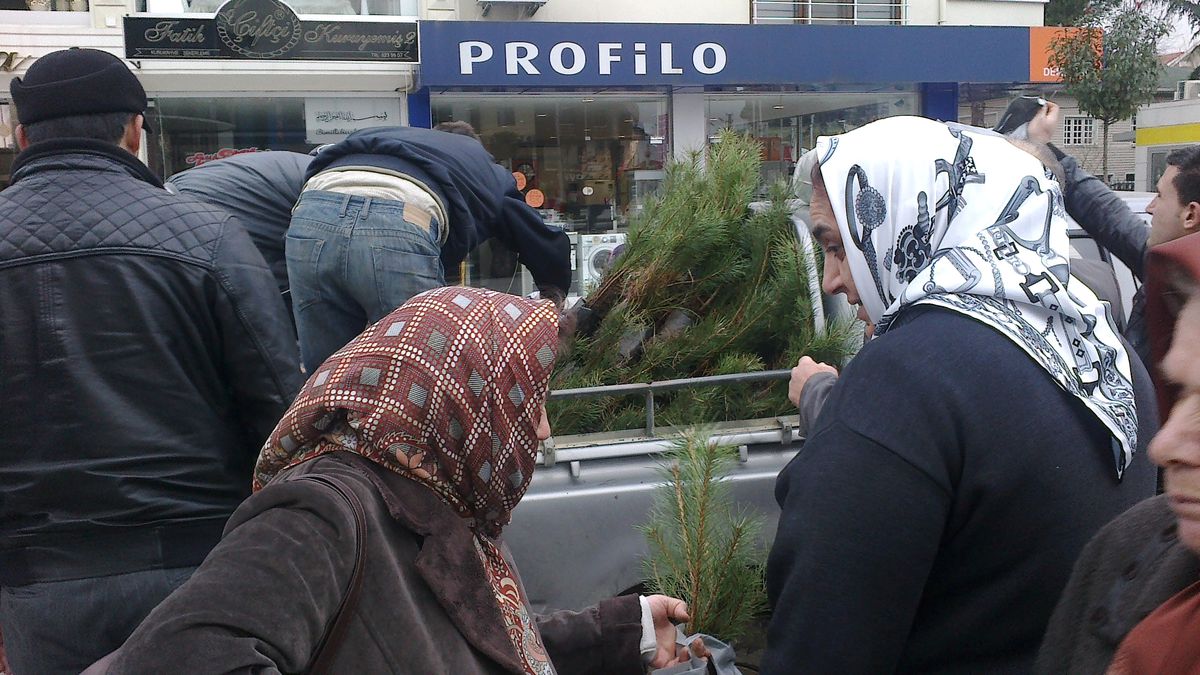 Düzce\'de Yılbaşı Öncesi Çam Fidanı Dağıtımı