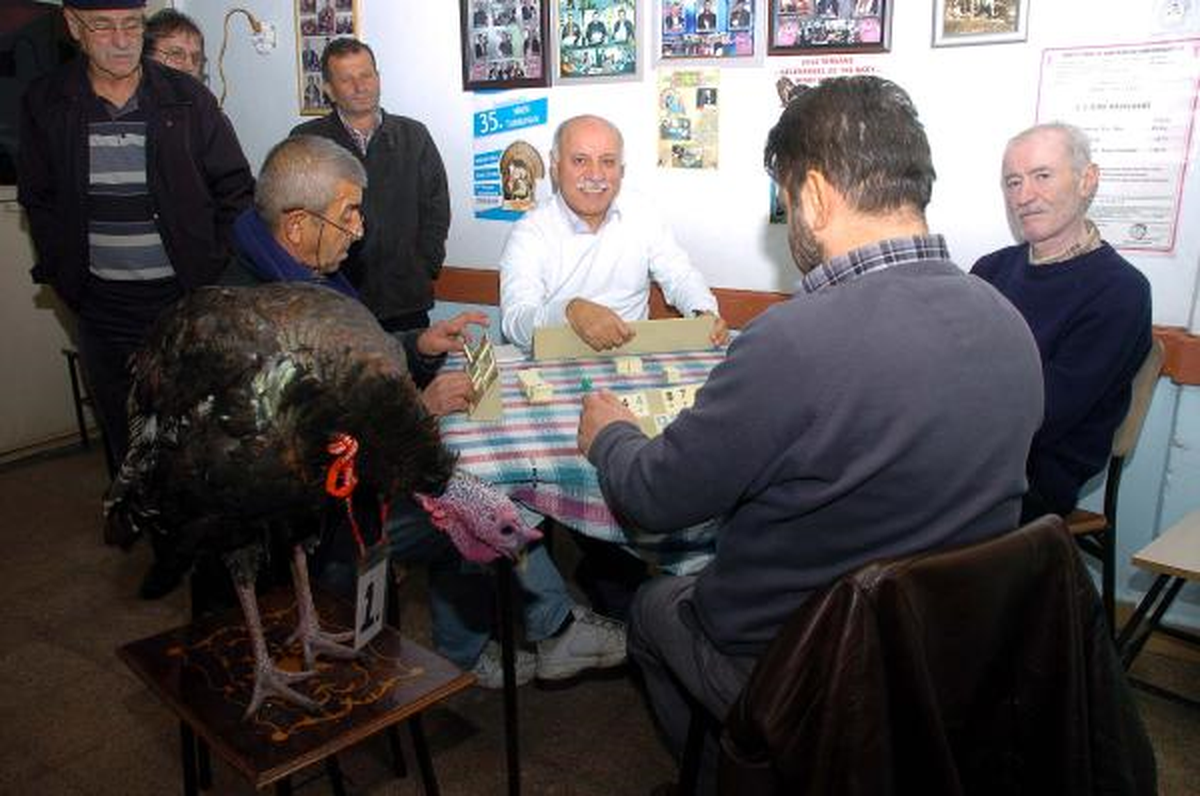 Amatör Takım İçin Hindi Ödüllü Okey Turnuvası