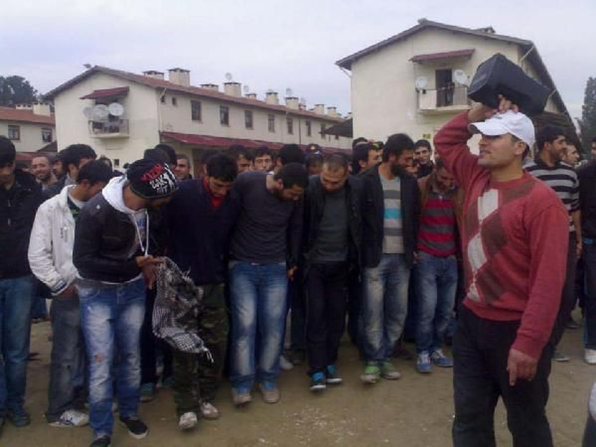 At Yarışları