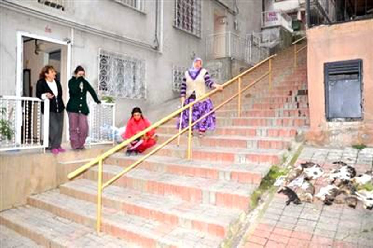 İzmir\'de Kedi Katliamı