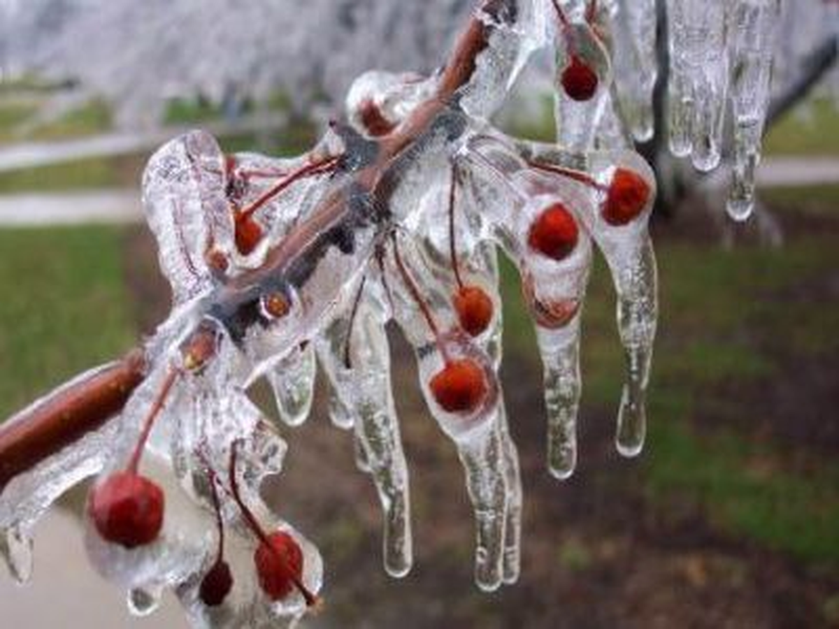 Meteorolojiden Buz Gibi Uyarı