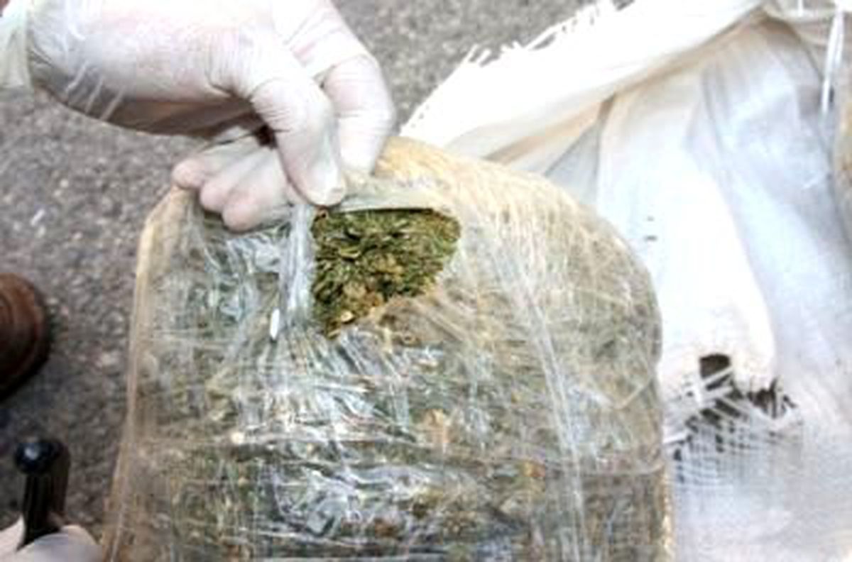 Alanya\'da 239 Gram Esrar Ele Geçirildi