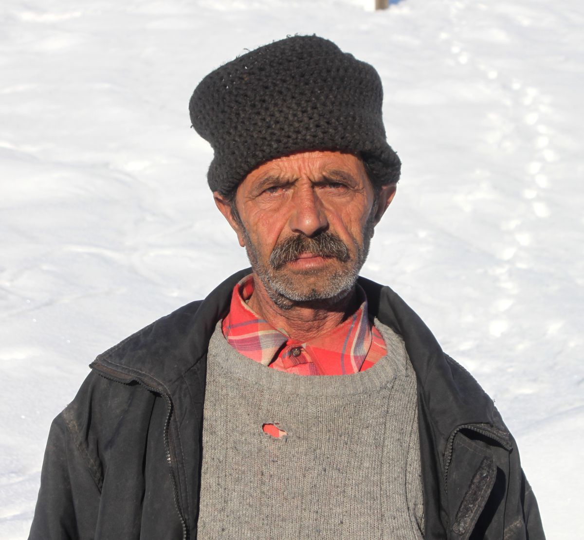 Ayının Saldırısına Uğrayan Köylü Yaralandı