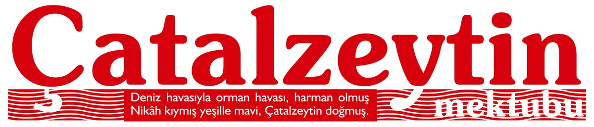 Çatalzeytin Mektubu 31 Yaşında