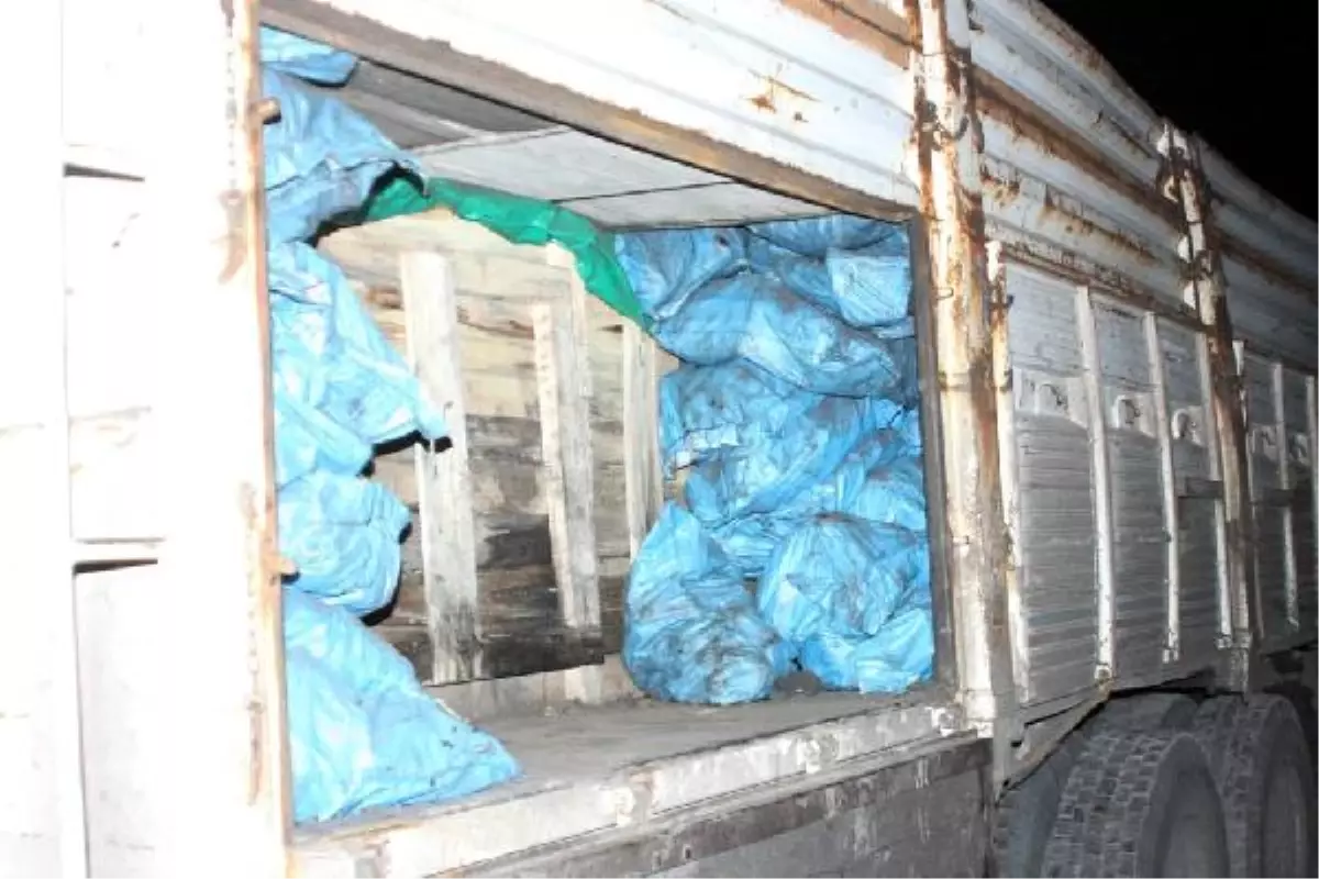 Cizre Faciadan Döndü!