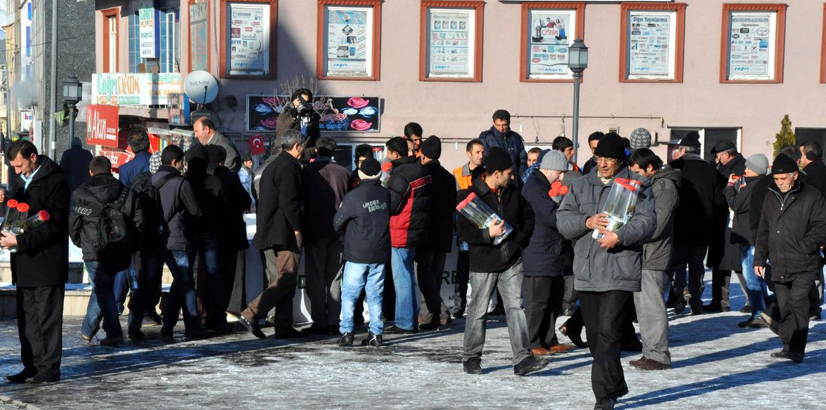 Erzurum\'da Yılbaşı Nedeniyle Vatandaşlara Çam Fidanı Dağıtıldı