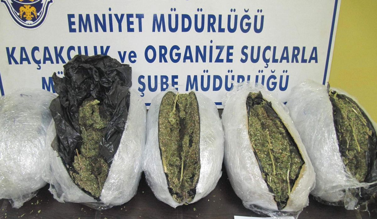 Giresun\'a Yılbaşı Eğlencesi İçin Getirilen Yaklaşık 6 Kg Esrar Ele Geçirildi