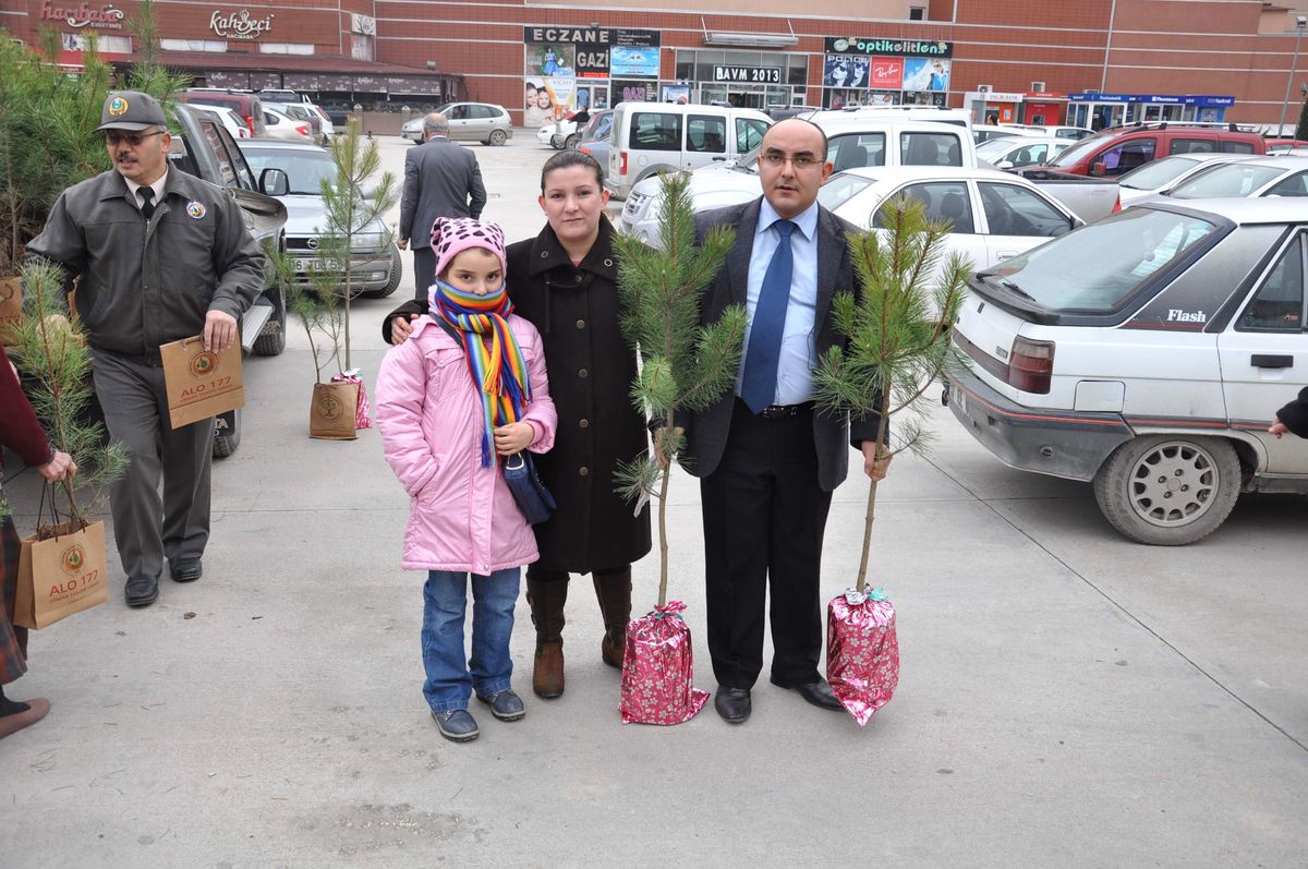 Kastamonu\'da Yılbaşı Öncesi Ücretsiz Fidan Dağıtıldı