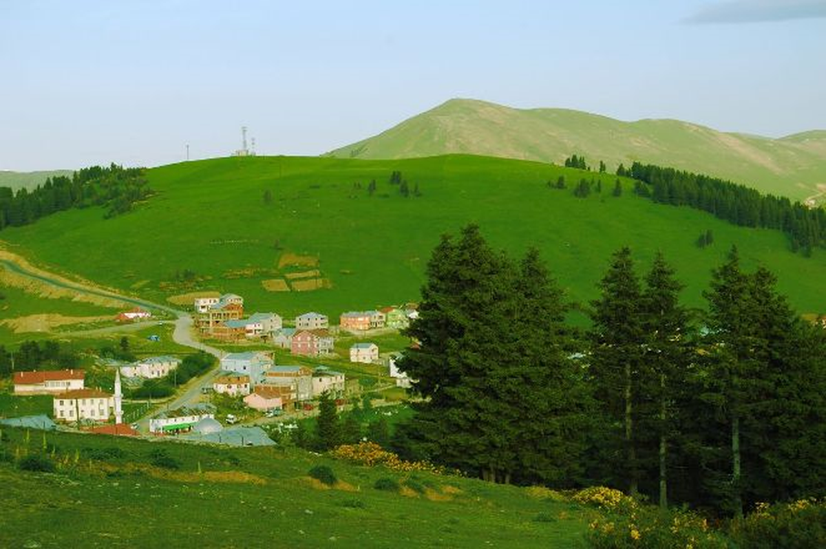 Ormanlık Alana Ev Yaptığı İddiası