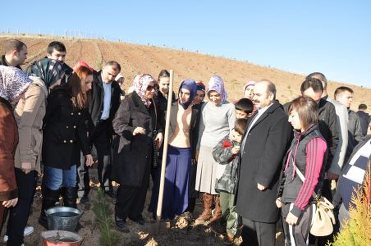 Siirt Üniversitesi\'nde Ağaç Dikimi Yapıldı