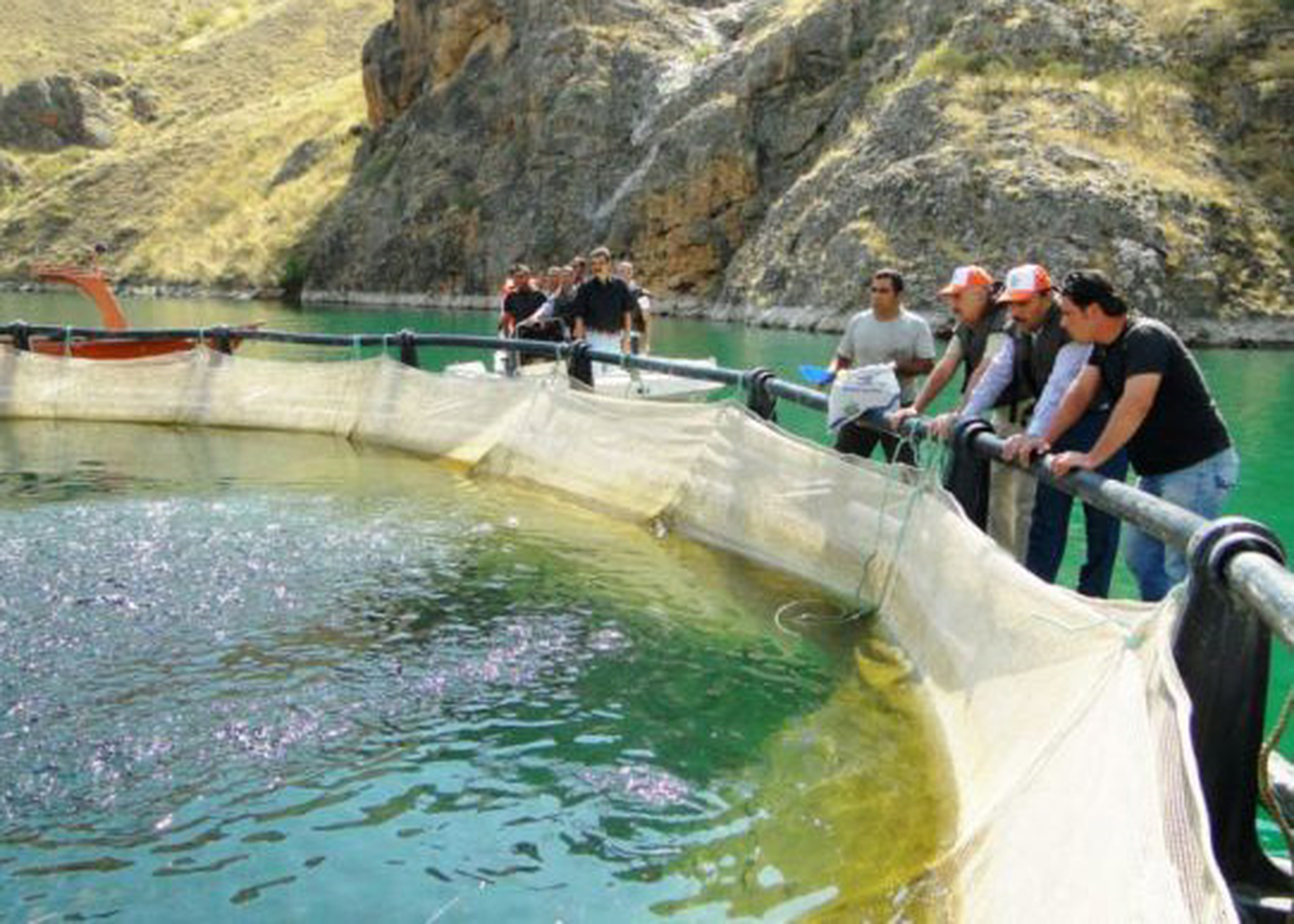 Malatya\'da 14 Bin Ton Alabalık Kapasite Bulunuyor