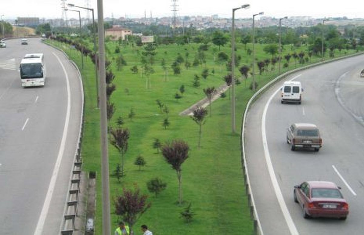 2013\'Ün İlk Ağacı Dikildi