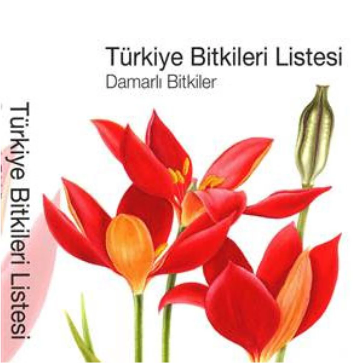 "Türkiye Bitkileri Listesi" Adlı Kitap Yayınlandı