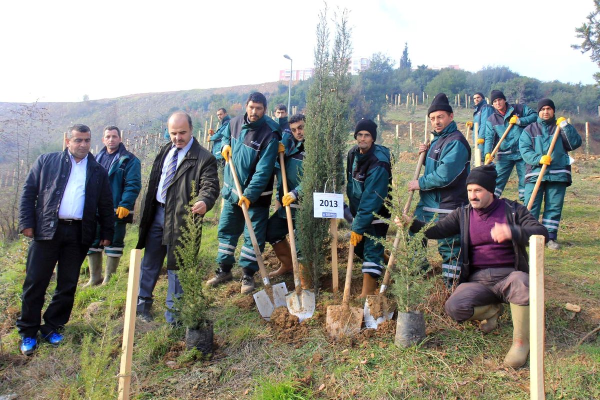 Yeni Yılın İlk Ağacı Dikildi