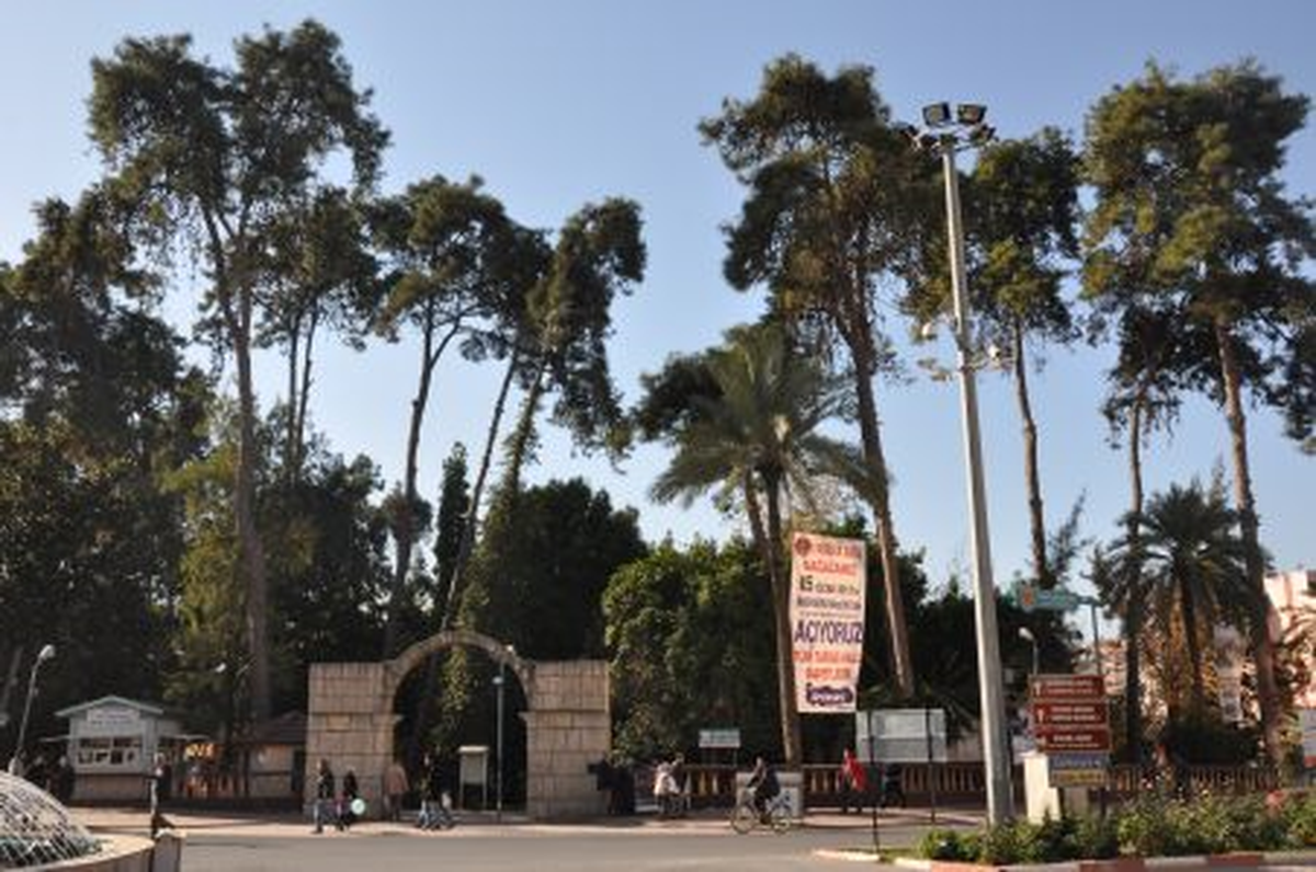Kültür Parkı\'ndaki Tehlike Arz Eden Ağaçlar Kesilecek