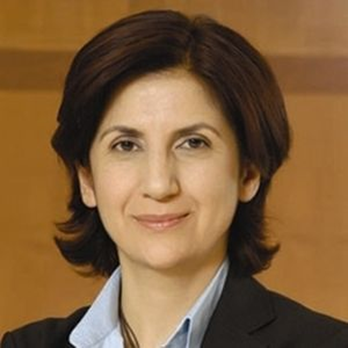 Mali Uçurum Kararına Ekonomistlerin Yorumu