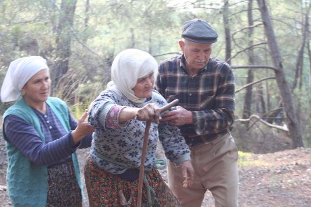 Mantar Toplarken Kaybolan Kadın Bulundu