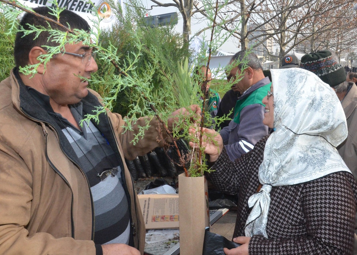 Silifke\'de Vatandaşlara 500 Fidan Dağıtıldı