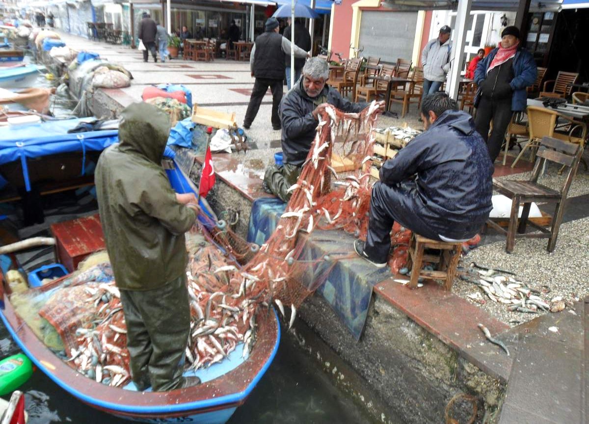 Sinop\'ta Balıkçı Tekneleri Denetlendi