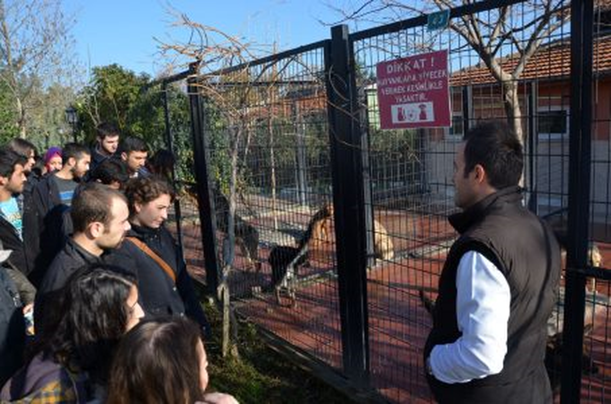 Veteriner Adayları Barınak Hekimliğini İncelediler