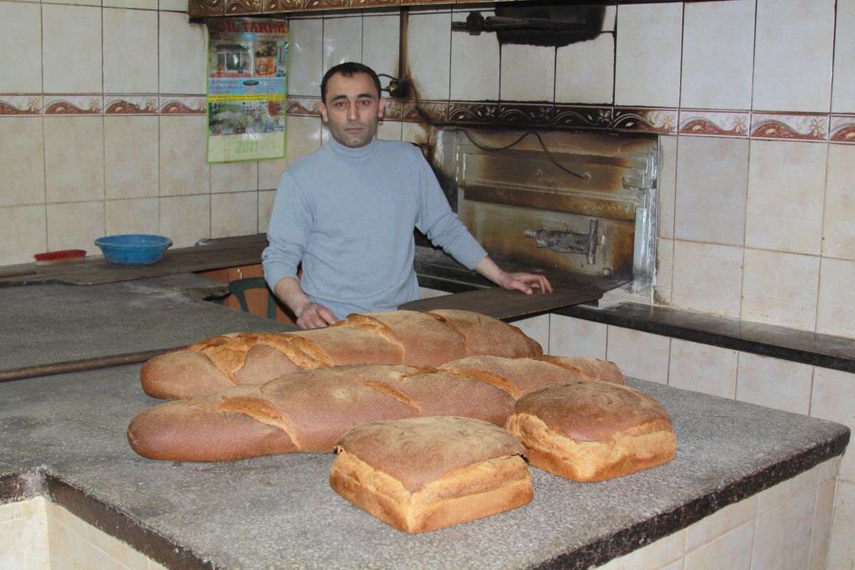Balina Ekmek Satışı Yaygınlaşıyor