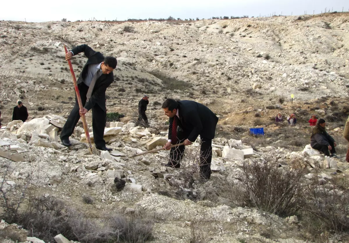 Gaün Öğrencilerinden Ağaç Dikme Etkinliği