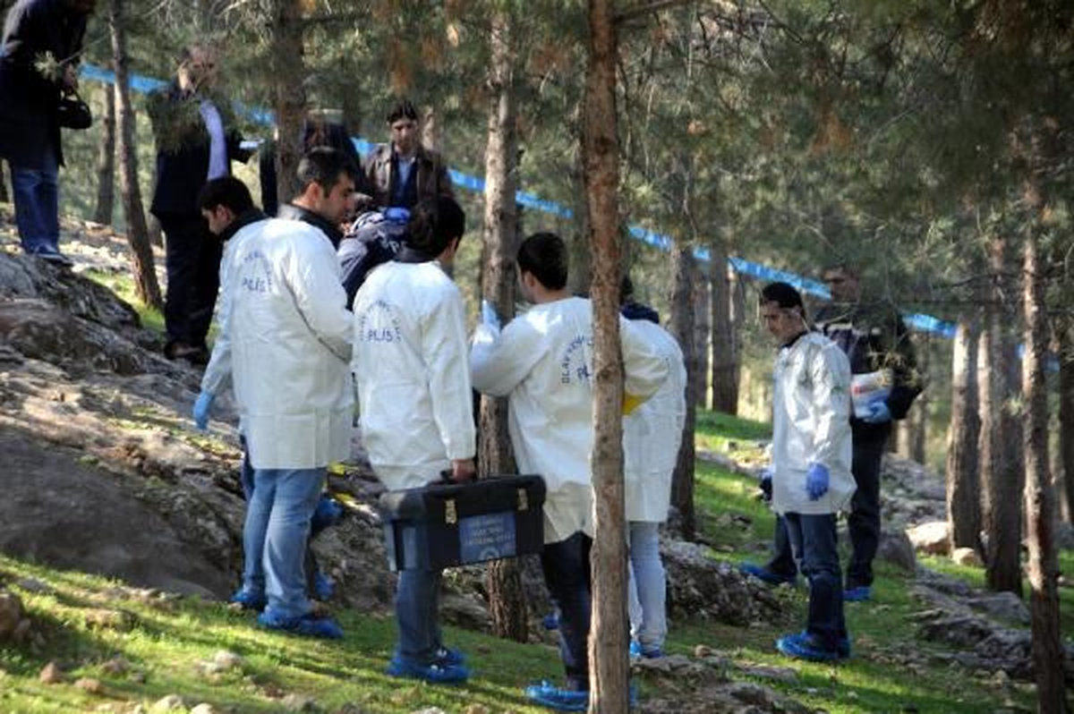 Siverek\'te Boş Arazide 14 El Bombası Bulundu