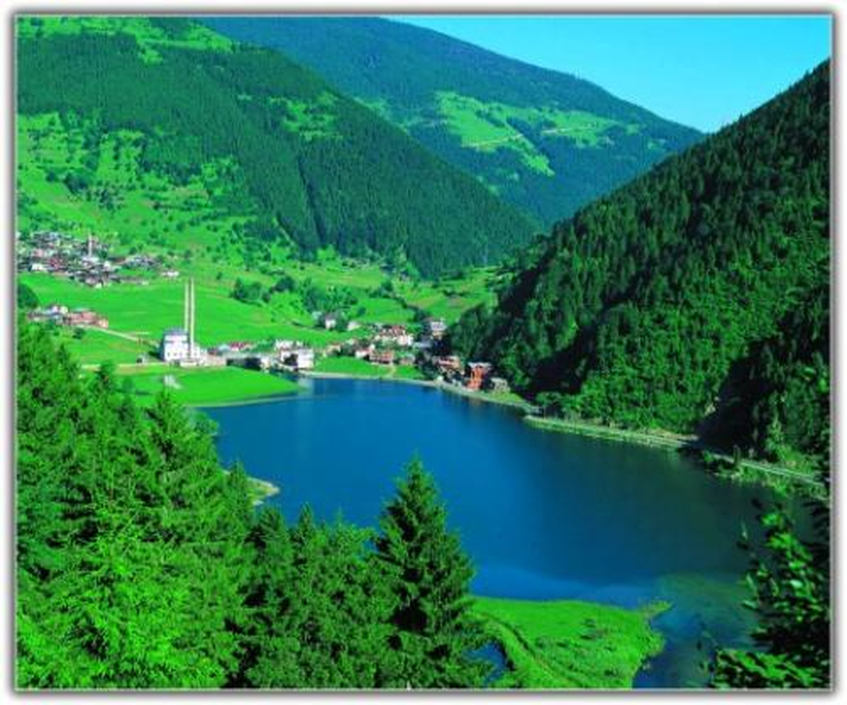 Uzungöl\'ün Karasal Biyolojik Çeşitliliği Projesi Tamamlandı