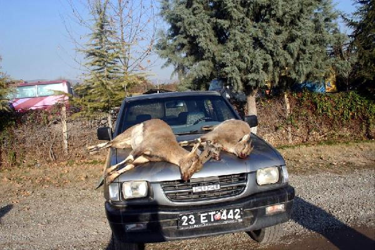 Yasak Bölgede Dağ Keçisi ve Keklik Avına 24 Bin 932 Lira Ceza