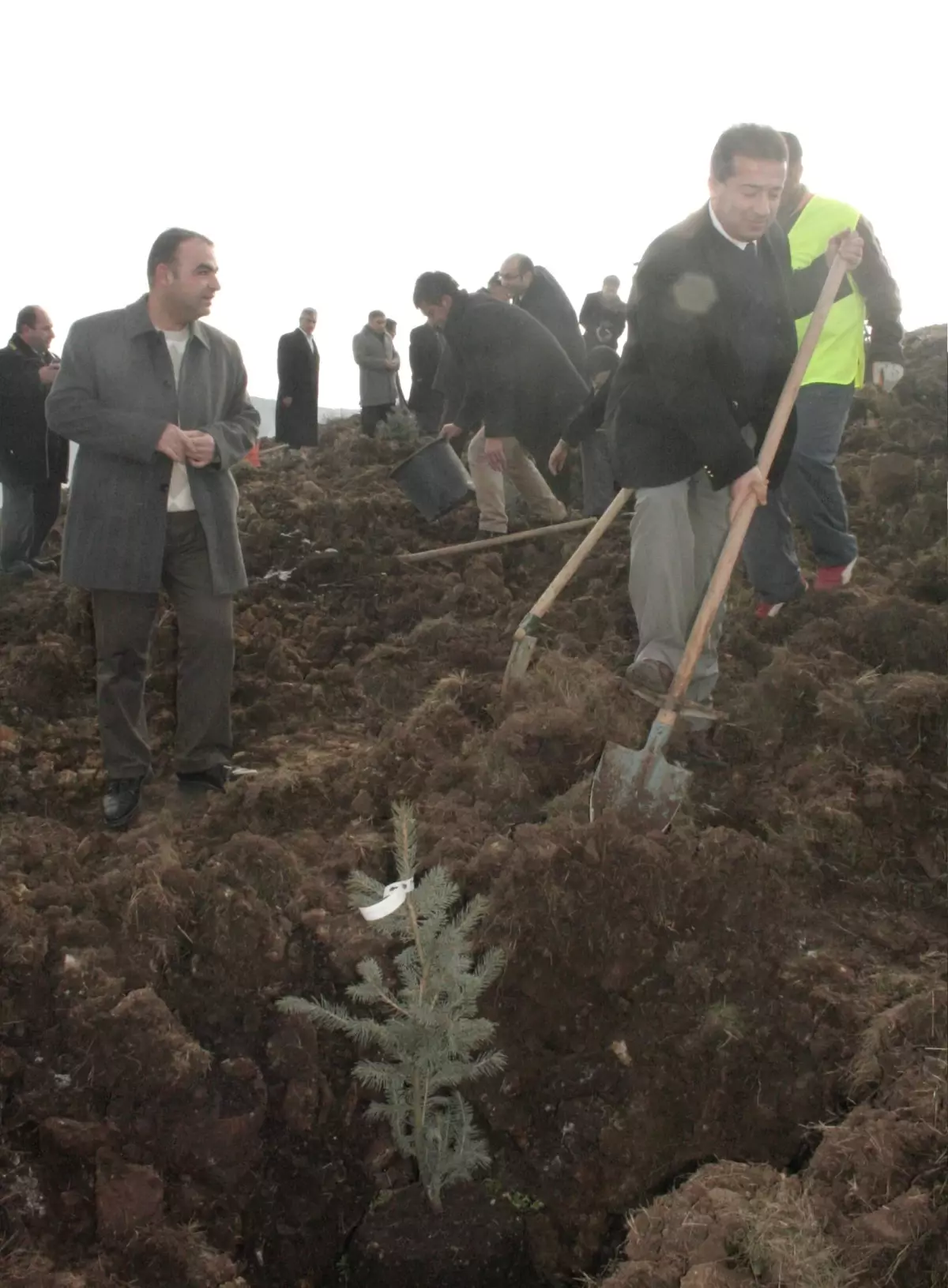 Yozgat Belediyesi Ağaçlandırma Çalışmalarını Sürdürüyor