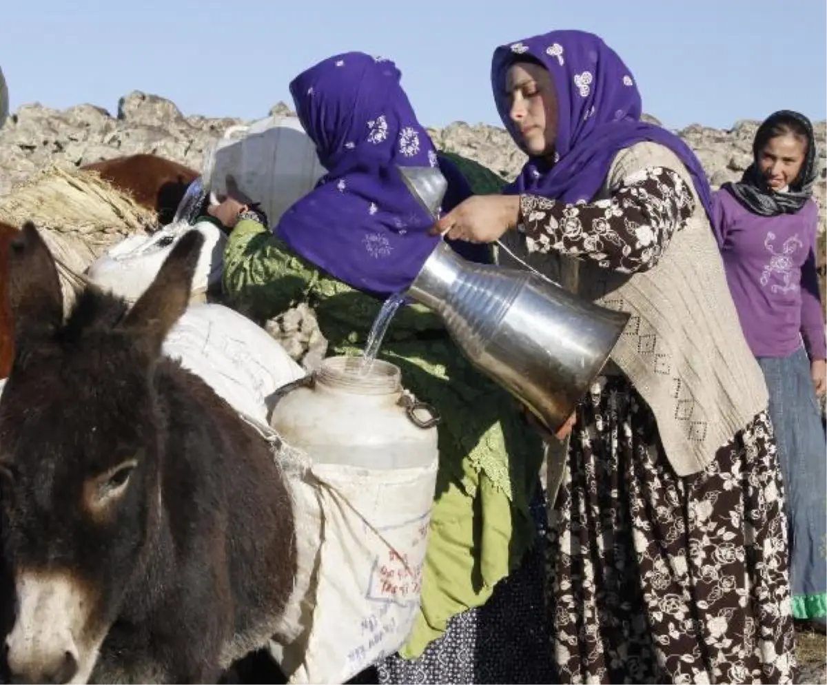 Her Gün At ve Eşekle Su Taşıyorlar