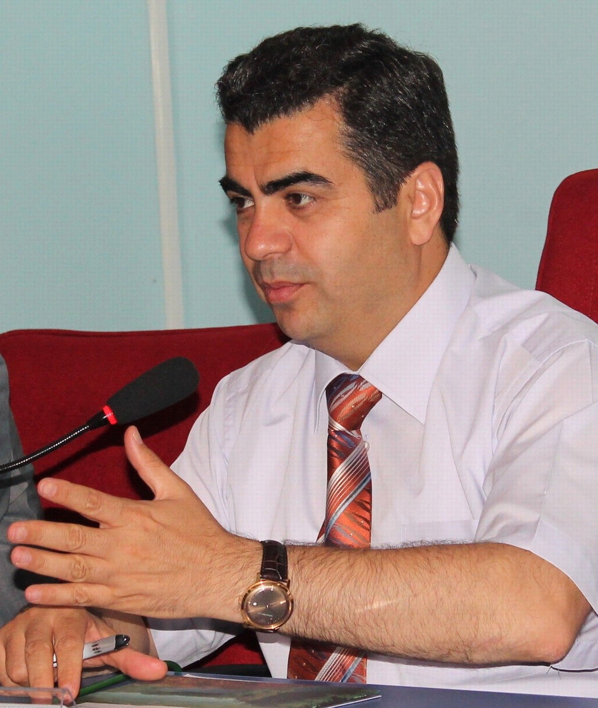 Ordu Valisi Düzgün Açıklaması