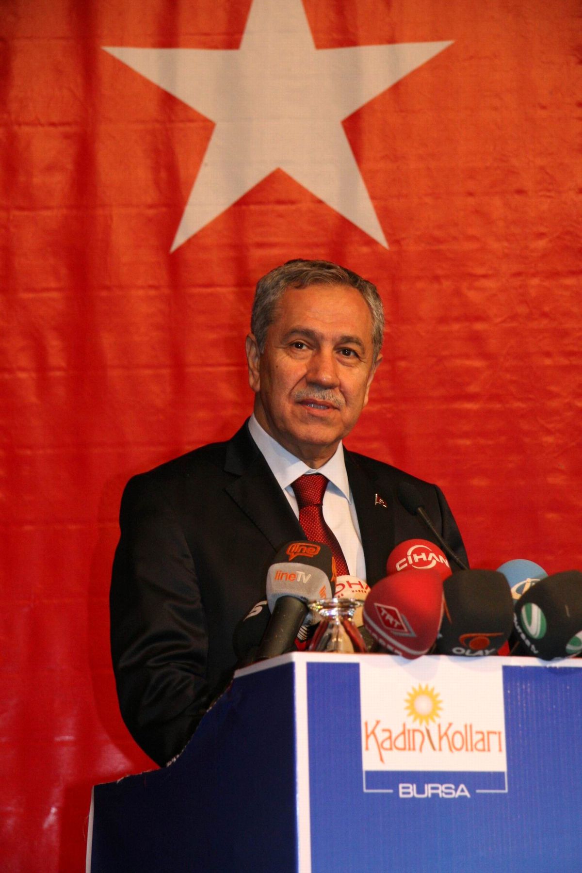 Başbakan Yardımcısı Bülent Arınç Açıklaması