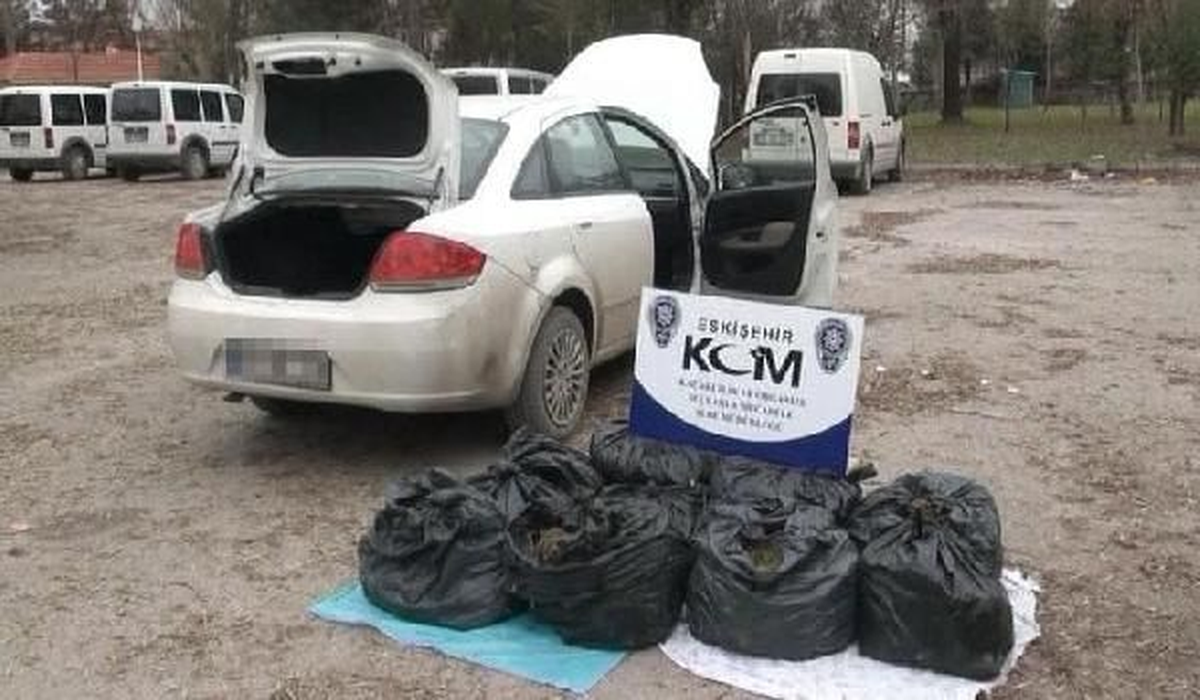 Eskişehir\'de 54 Kilogram Esrar Ele Geçirildi