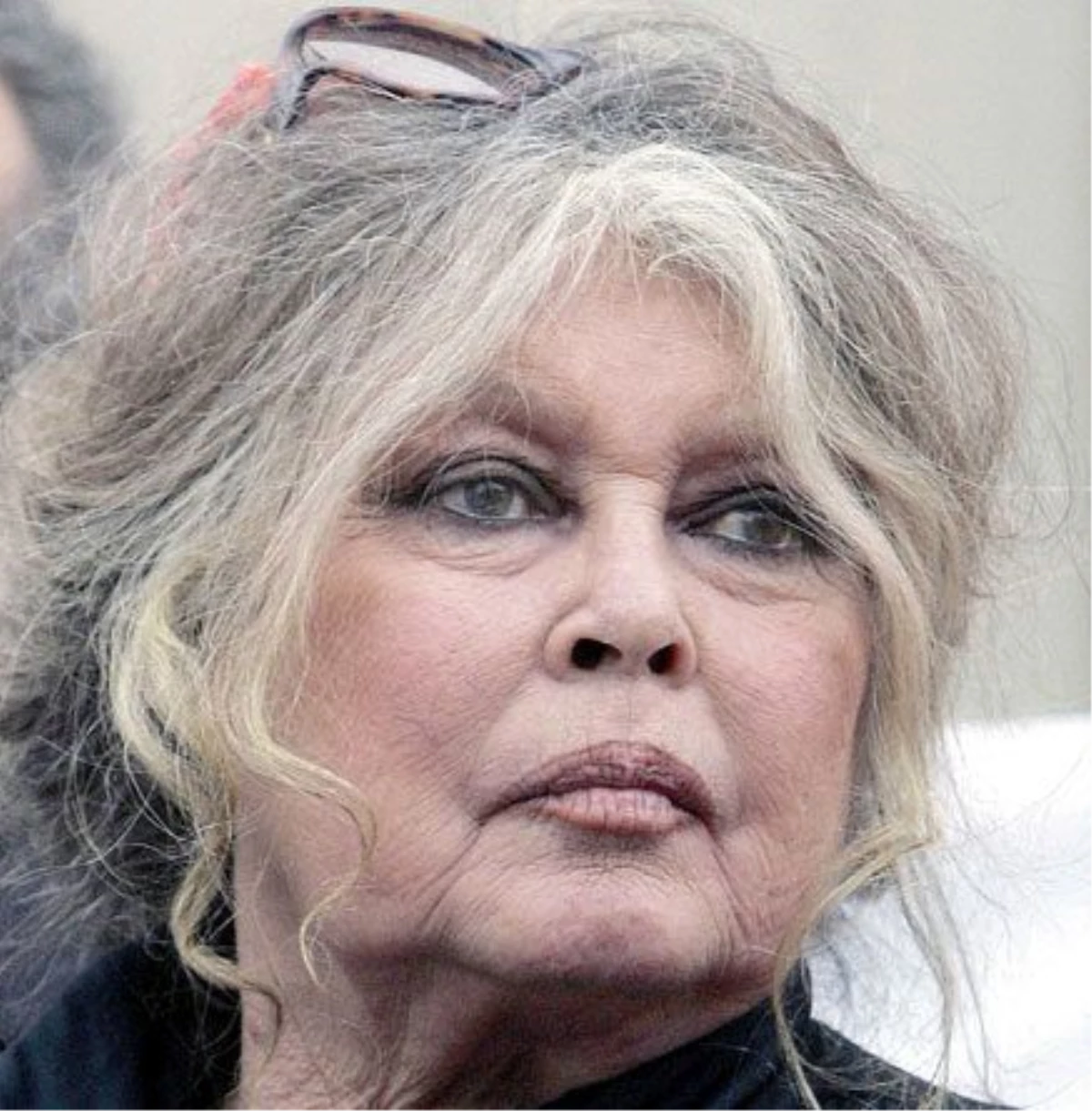 Fransız Oyuncu Brigitte Bardot Fransa\'dan Bıkmış