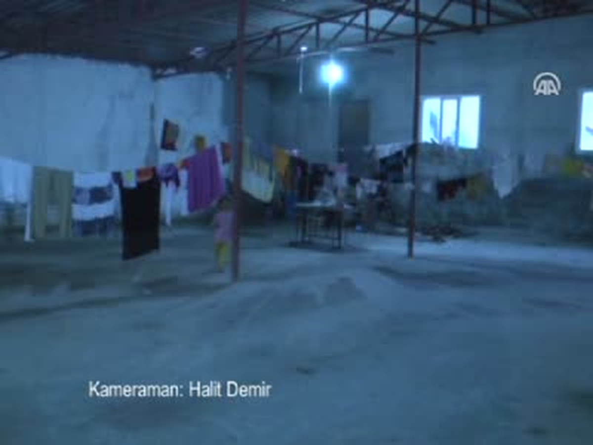 Teym Bebek Türkiye\'ye Emanet