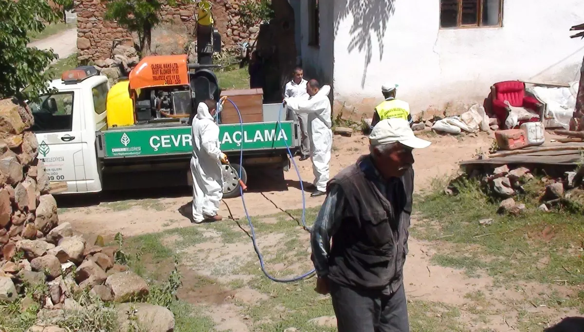 Çankaya\'da Periyodik İlaçlama