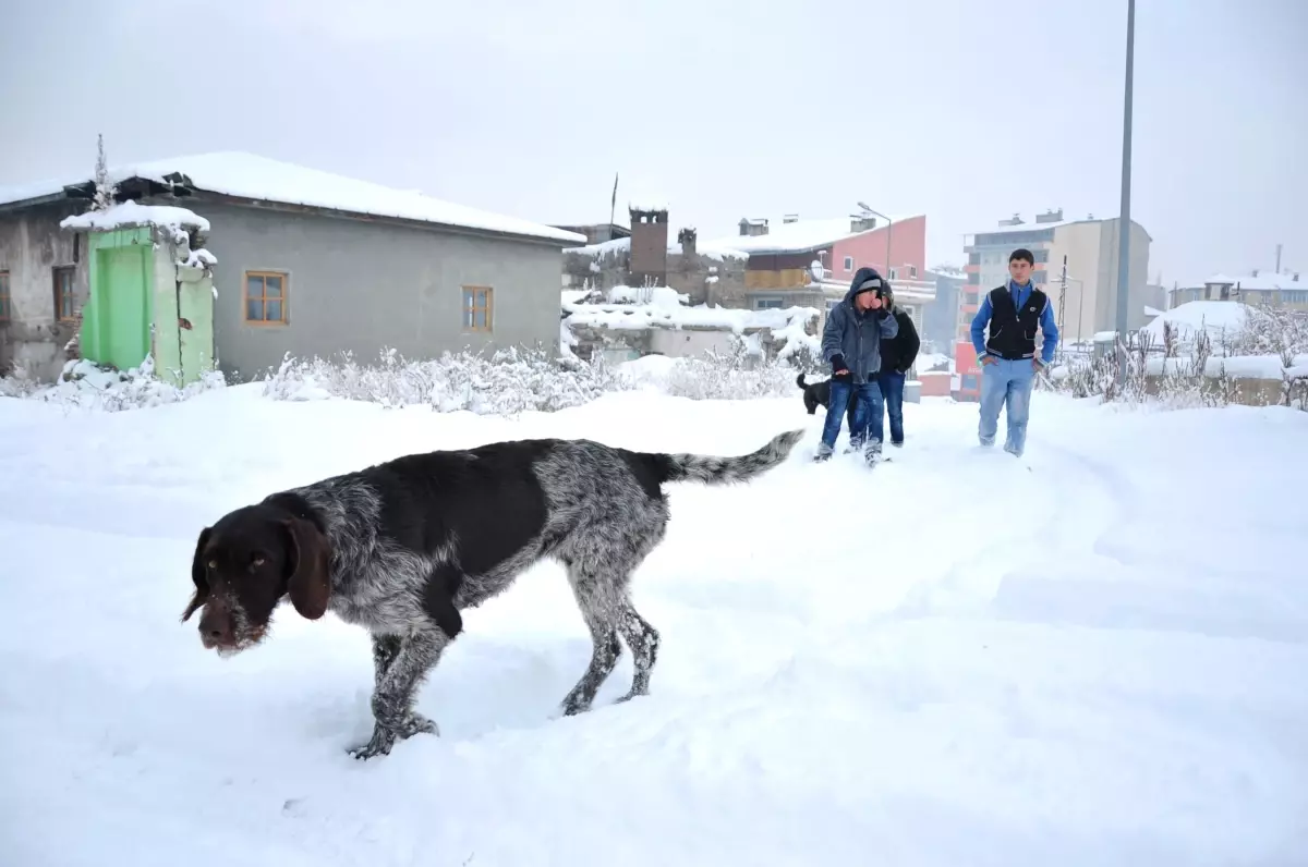 Doğu\'da Kış