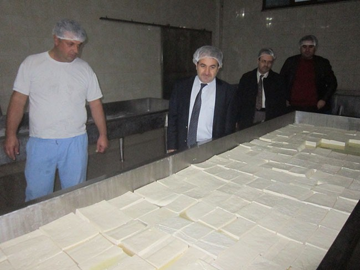 Hibe Destekleri İçin İnceleme