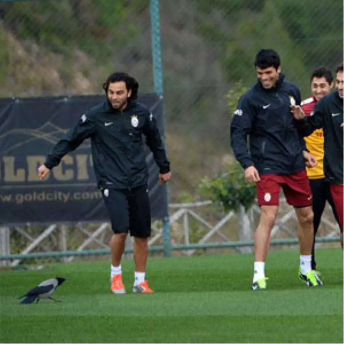 Galatasaray'ı Çıldırtan Karga