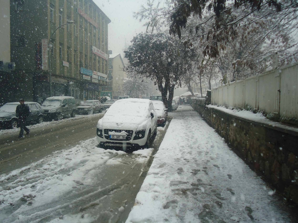 Muş\'ta Kar Yağışı Hayatı Felç Etti