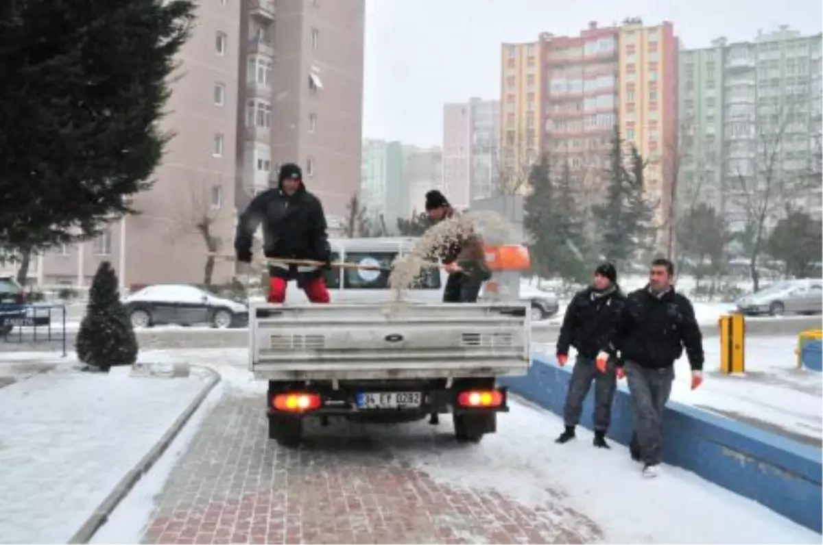 Beylikdüzü\'nde Karla Mücadele Seferberliği