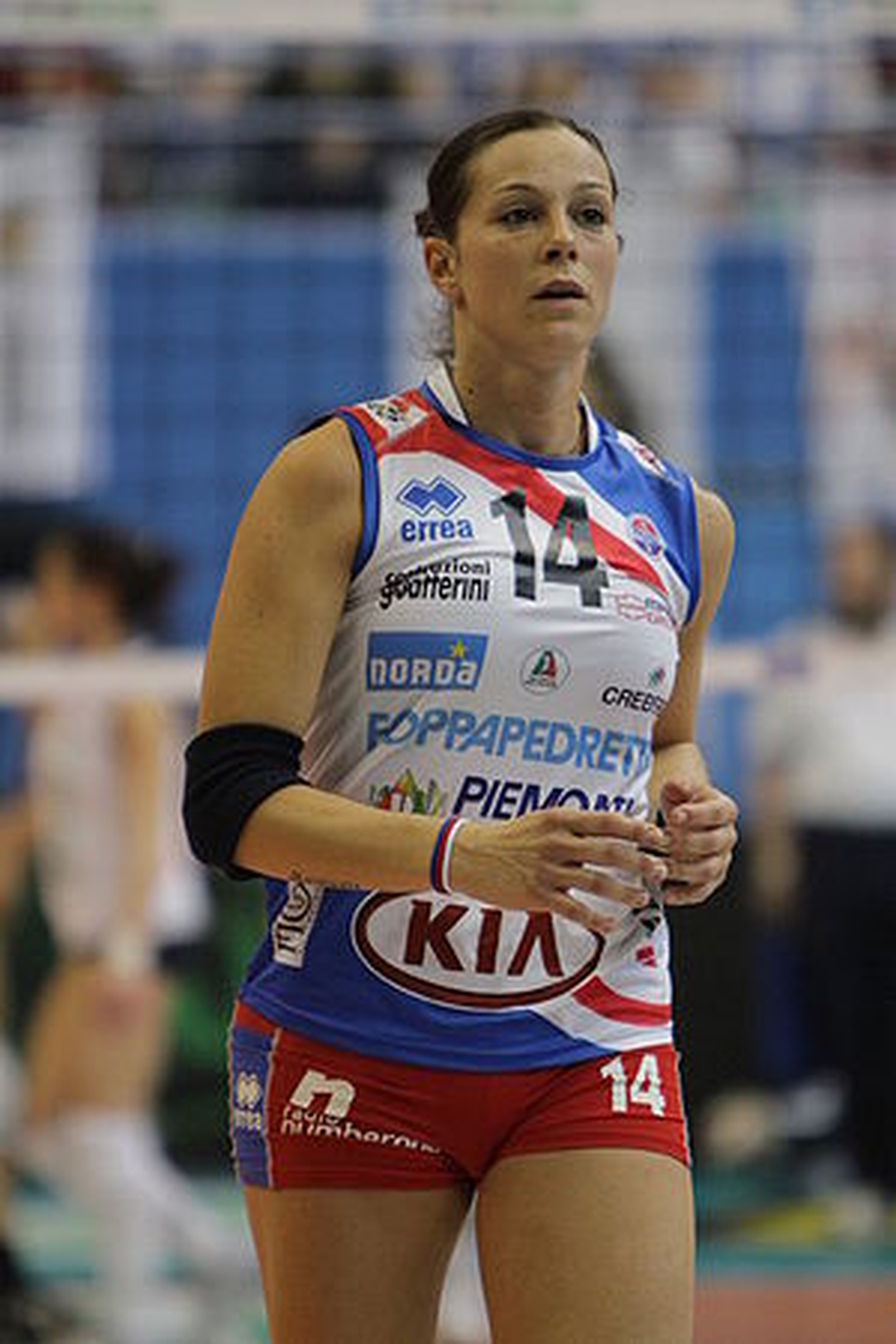 Voleybol